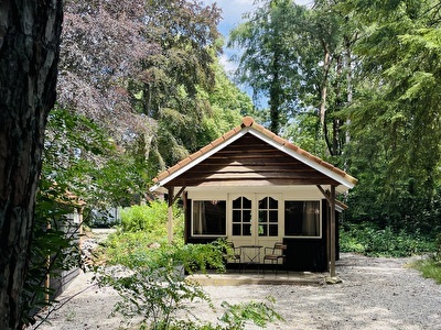 Blokhut op de Veluwe