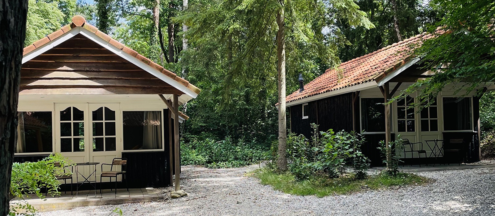 Lodge in de bossen