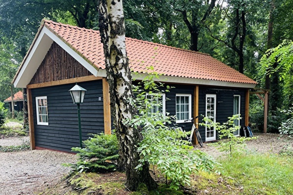 Familie Lodge midden in de bossen