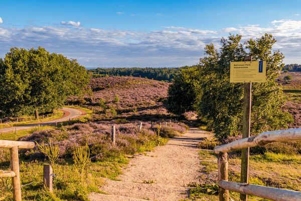 Fietsen en wandelen op de Veluwe