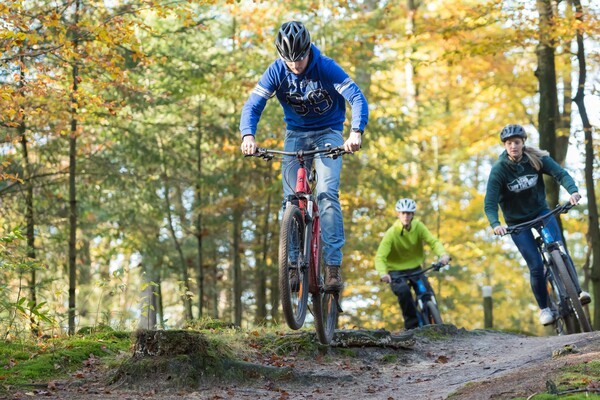 Voor de sportieve fietser: Mountainbiken op de Veluwe