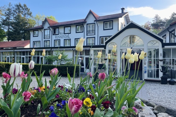 Voorjaar op de Veluwe